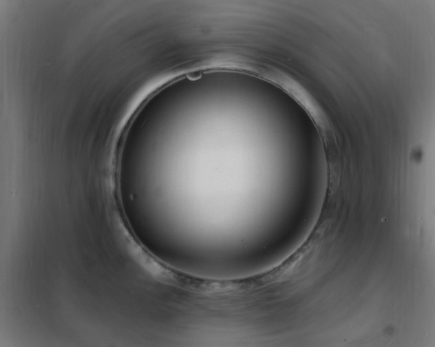 X0000102231148200807251229