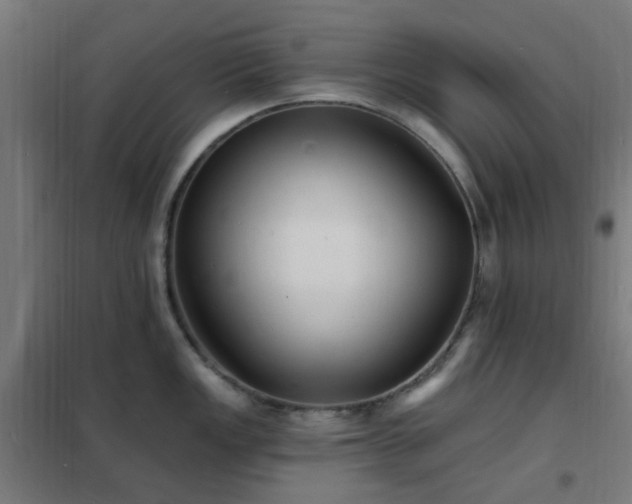 X0000102231149200807251229