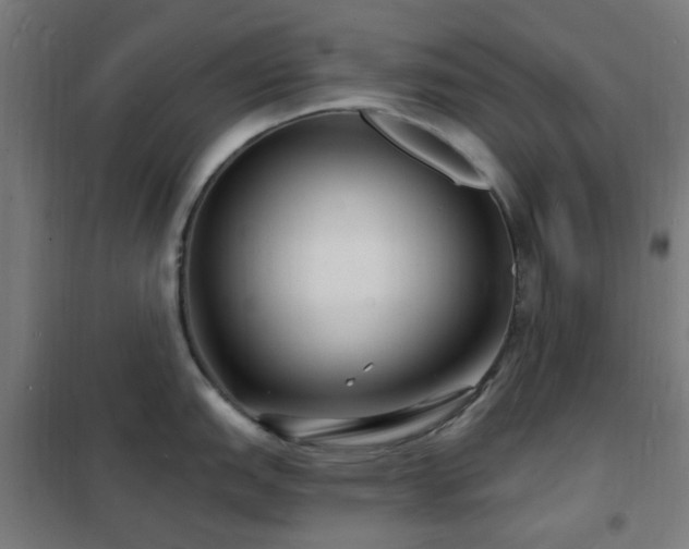 X0000102231151200807251229