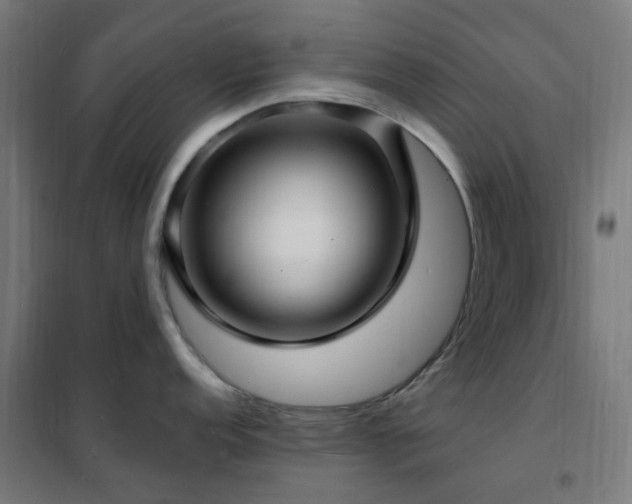 X0000102231152200807251229