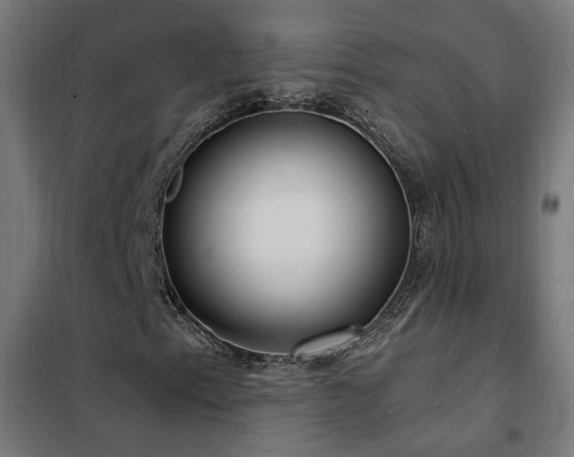 X0000102231153200807251228