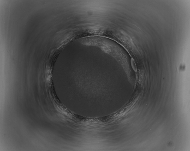 X0000102231154200807251228