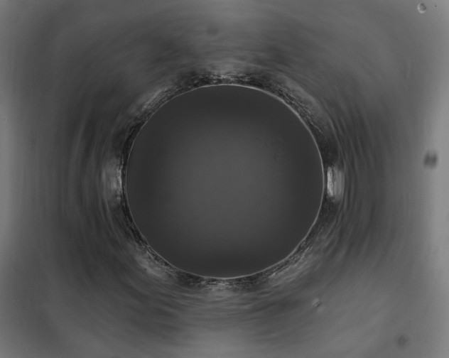 X0000102231155200807251228