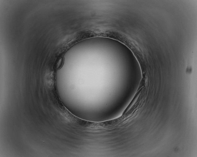 X0000102231156200807251228