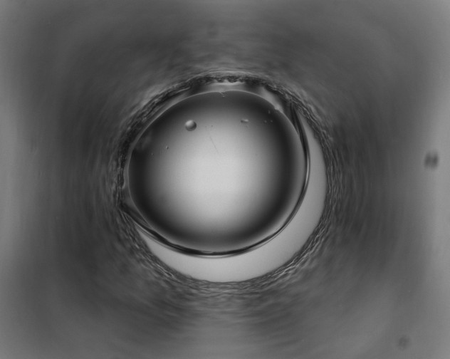 X0000102231157200807251228