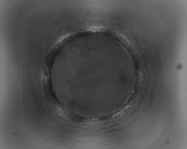 X0000102231158200807251228