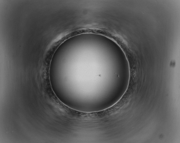 X0000102231159200807251228