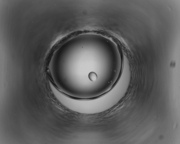 X0000102231160200807251228