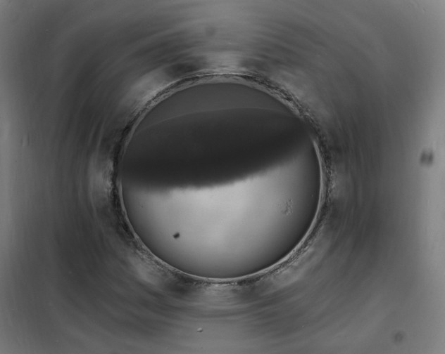 X0000102231161200807251228