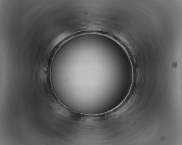 X0000102231163200807251228