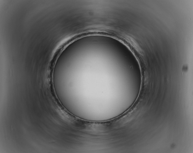 X0000102231164200807251228