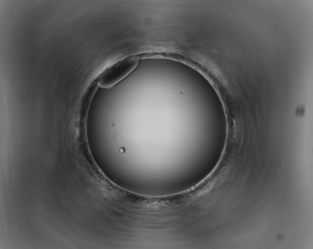 X0000102231165200807251228