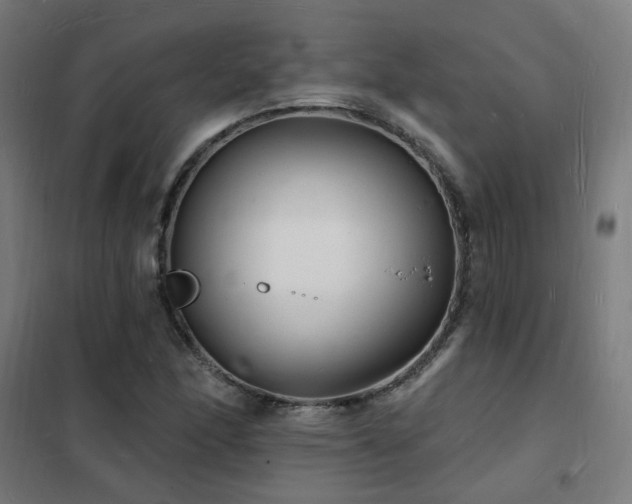 X0000102231166200807251228