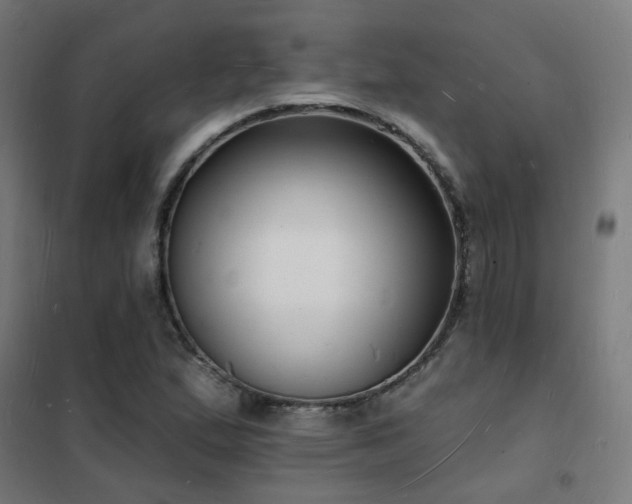 X0000102231167200807251228
