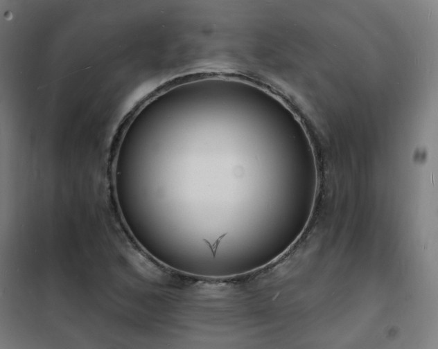 X0000102231168200807251228