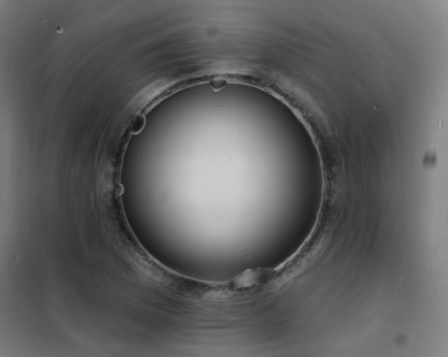 X0000102231169200807251228