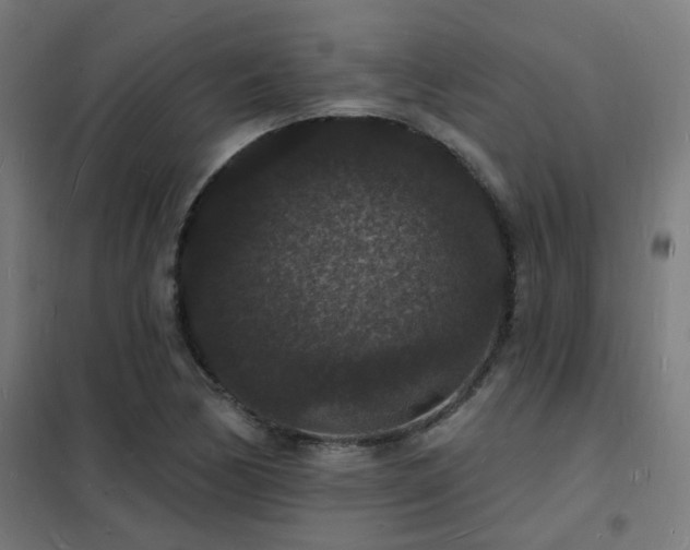 X0000102231170200807251228