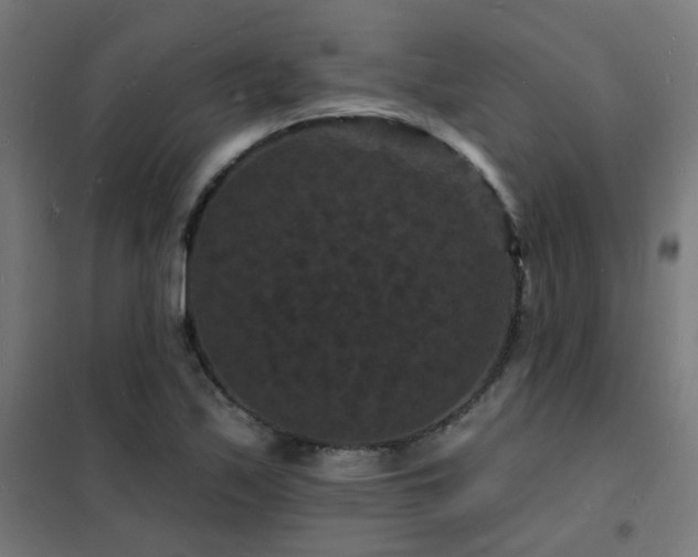 X0000102231171200807251228