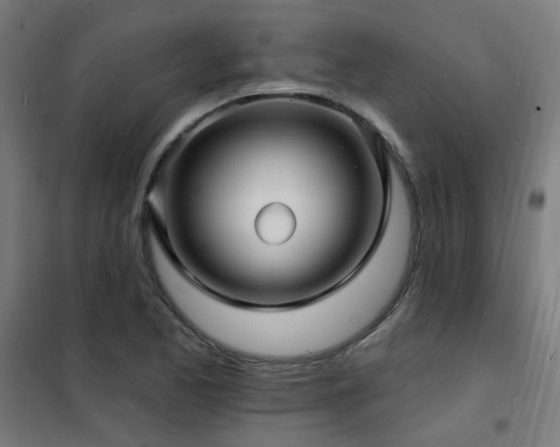 X0000102231173200807251228