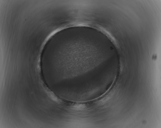 X0000102231174200807251228