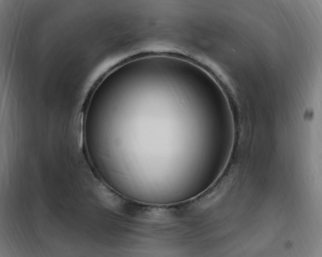 X0000102231175200807251228