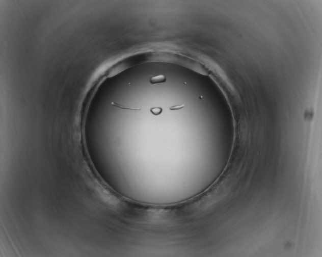 X0000102231176200807251228