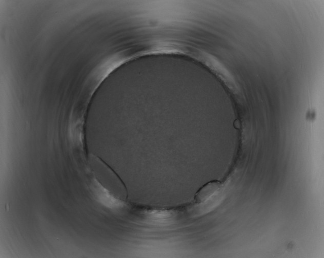 X0000102231177200807251228