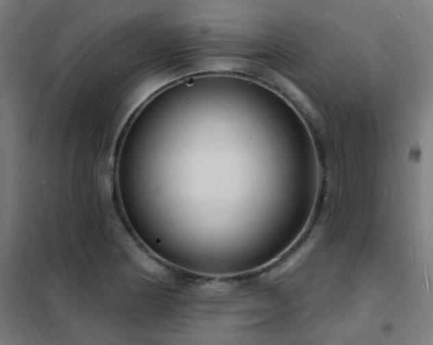 X0000102231178200807251228