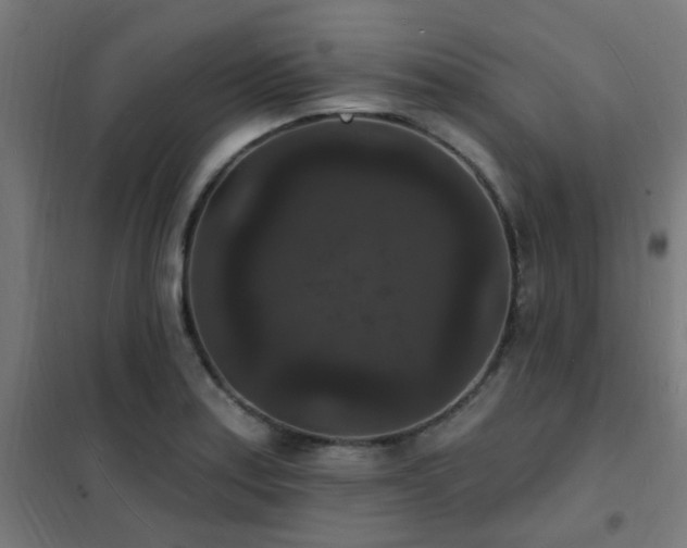 X0000102231179200807251228
