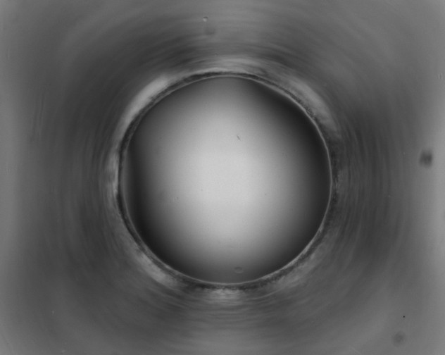 X0000102231180200807251228
