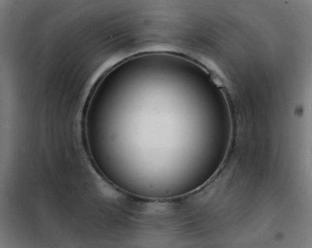 X0000102231181200807251228
