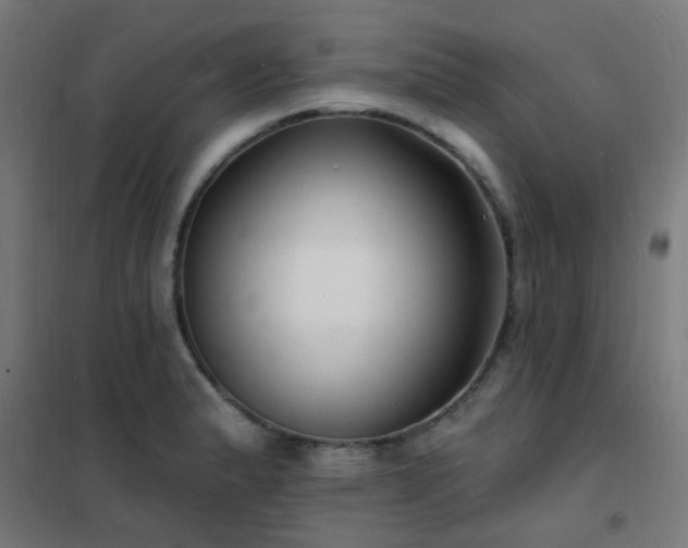 X0000102231183200807251228
