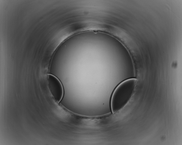 X0000102231185200807251228