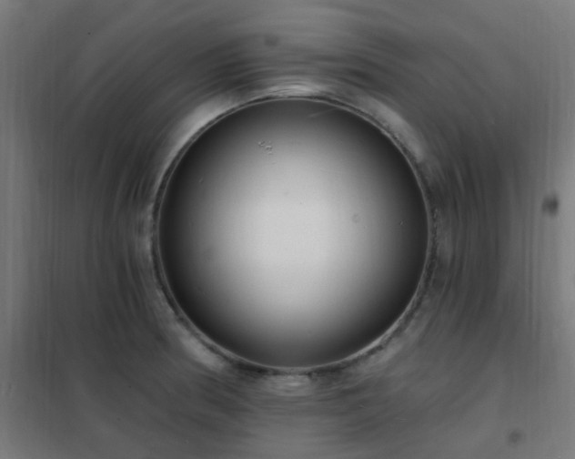 X0000102231186200807251228