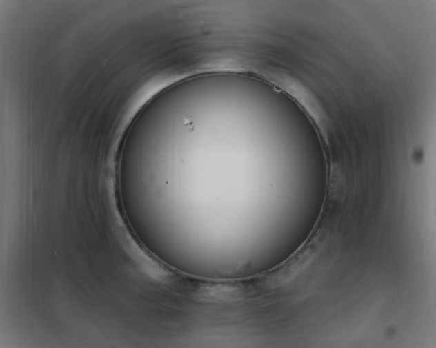 X0000102231187200807251228