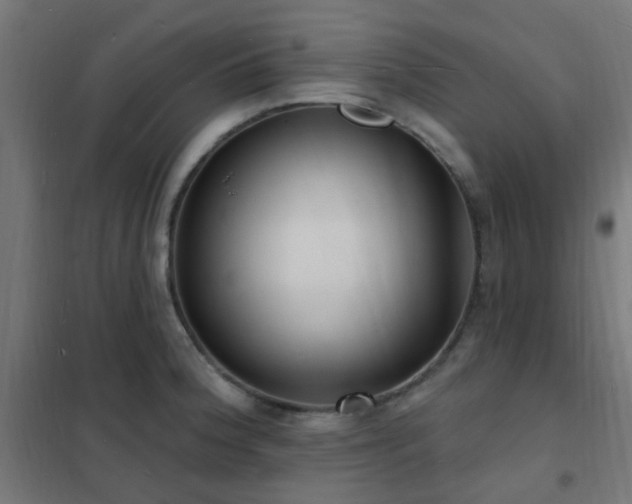 X0000102231188200807251228
