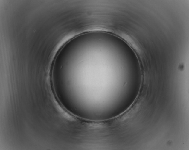 X0000102231189200807251228