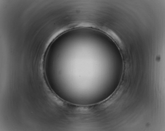 X0000102231190200807251228