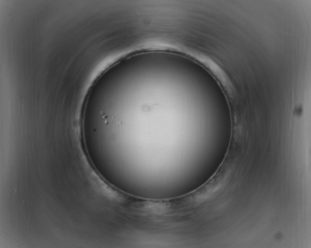 X0000102231191200807251228