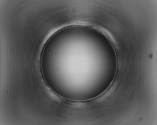 X0000102231192200807251228
