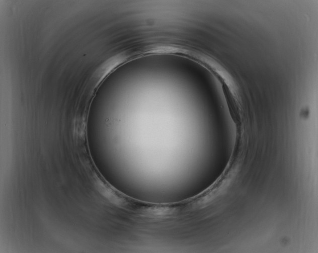 X0000102231193200807251228