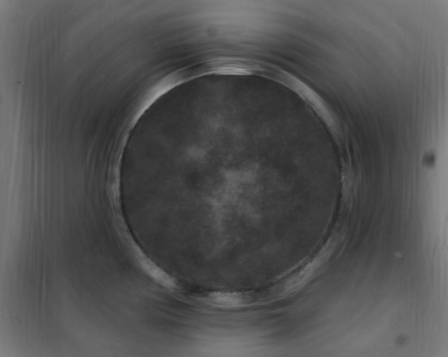 X0000102231194200807251227
