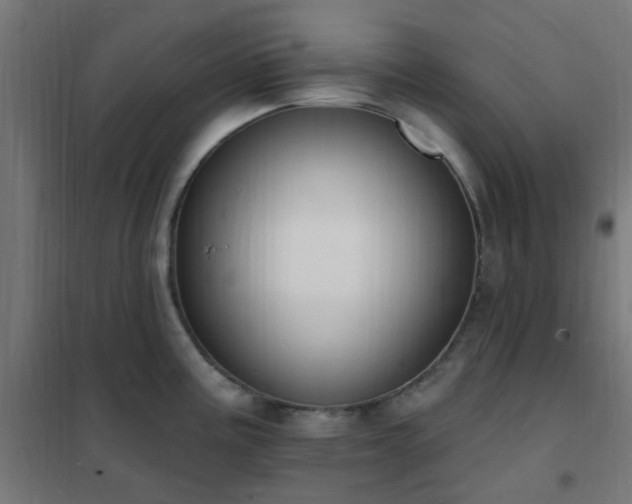 X0000102231195200807251227