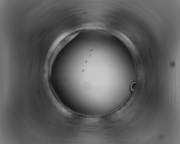 X0000102231196200807251227