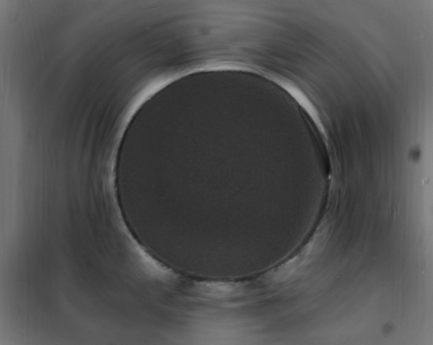X0000102231197200807251227