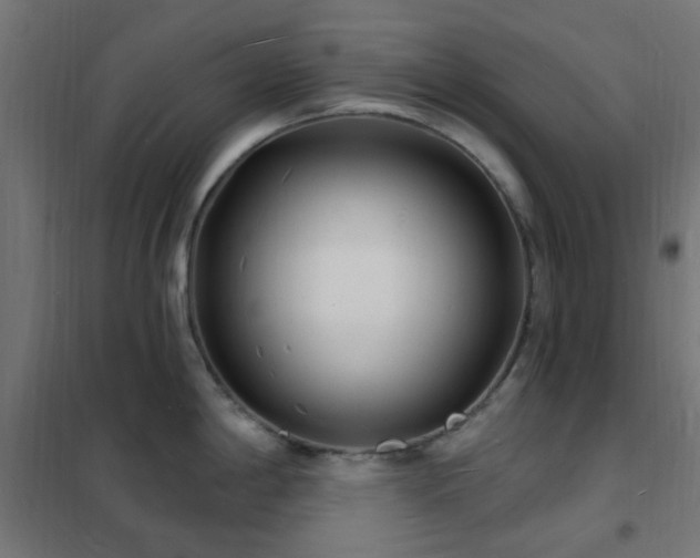 X0000102231198200807251227