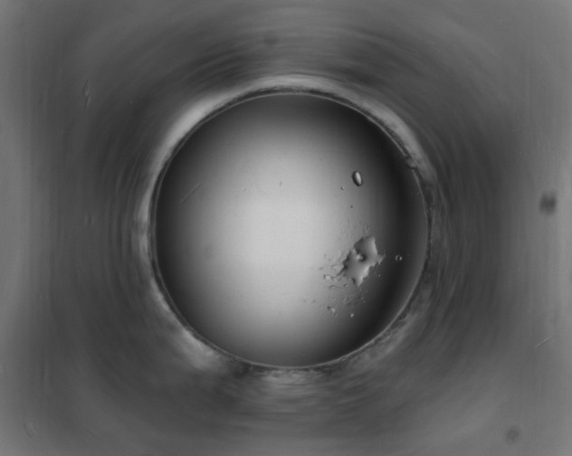 X0000102231199200807251227