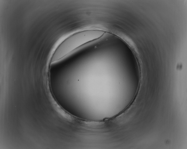 X0000102231200200807251227