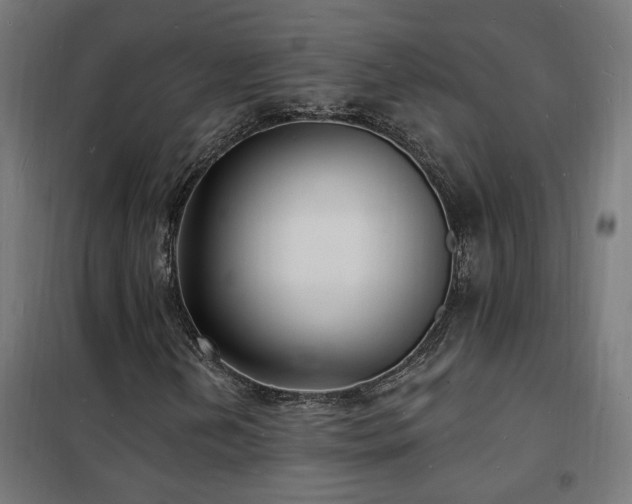 X0000102231202200807251227