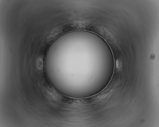 X0000102231203200807251227